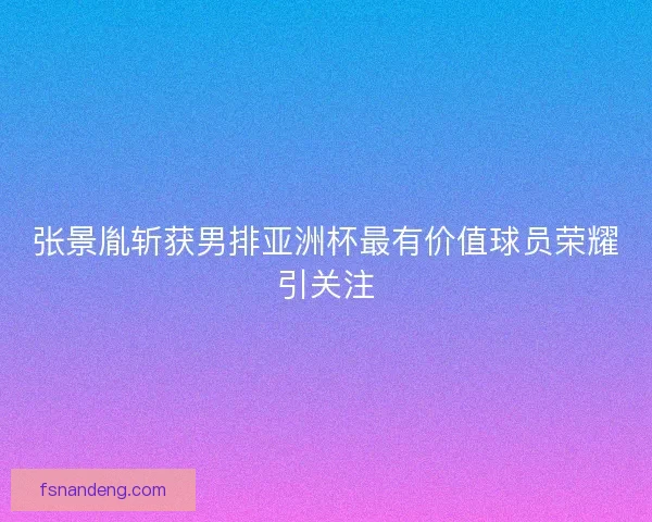 张景胤斩获男排亚洲杯最有价值球员荣耀引关注