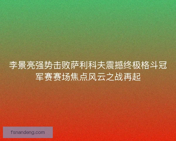 李景亮强势击败萨利科夫震撼终极格斗冠军赛赛场焦点风云之战再起